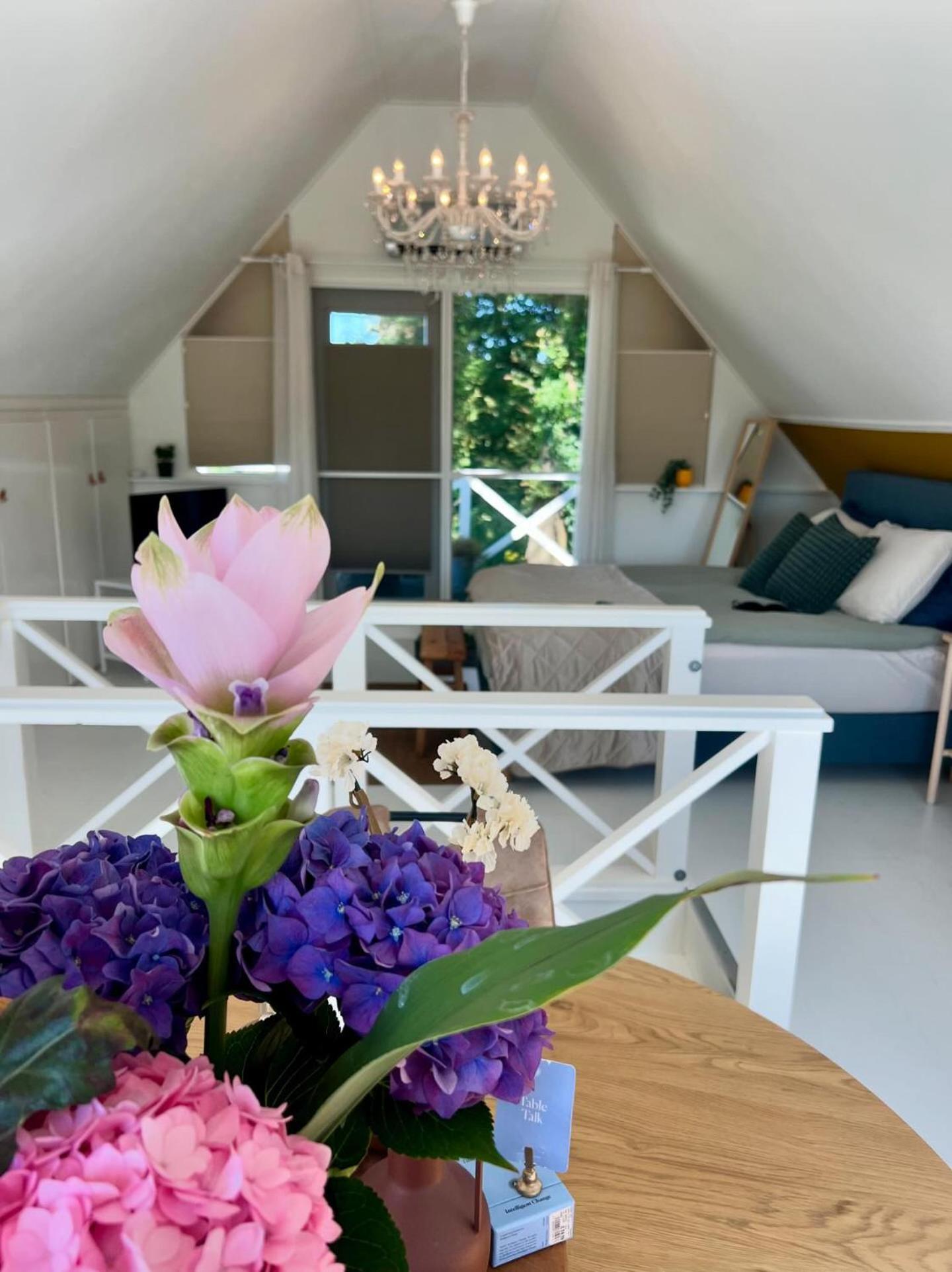האקסברחן B&B Slaap In Buurse מראה חיצוני תמונה